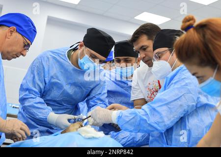 Laboratorio di chirurgia tiroidea su cadaver Foto Stock