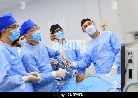 Laboratorio di chirurgia tiroidea su cadaver Foto Stock