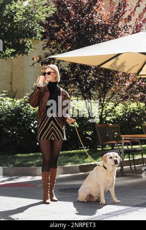 intera lunghezza di donna elegante in occhiali da sole che tiene la tazza di carta mentre cammina con labrador vicino a caffè all'aperto, immagine di scorta Foto Stock