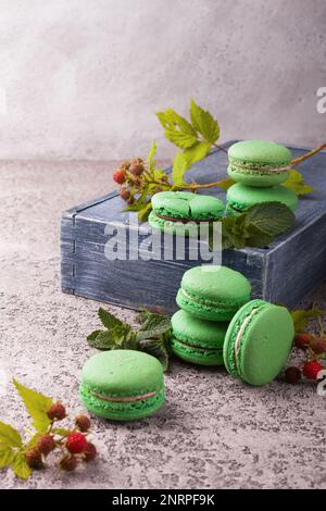 Macaron francesi alla menta verde fresco su scatola di legno e tavolo in cemento grigio chiaro. Primo piano, copia spazio, messa a fuoco selettiva. Lampberr di menta verde fresco Foto Stock