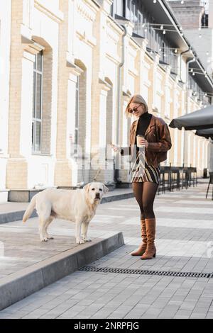 intera lunghezza di donna allegra in occhiali da sole alla moda sorridendo e tenendo il caffè per andare mentre cammina con labrador, immagine stock Foto Stock