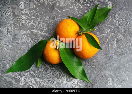 Tangerini (arance, mandarini, clementine, agrumi) con foglie su fondo di cemento grigio. Agrumi del cibo vegetariano tree.Organic. Wint Foto Stock