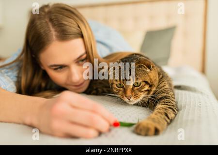 Sorridente giovane donna bionda sdraiata nel suo letto in camicia una carina domestica giocando gatto scozzese tabby a casa, concetto di amare e prendersi cura degli animali domestici Foto Stock