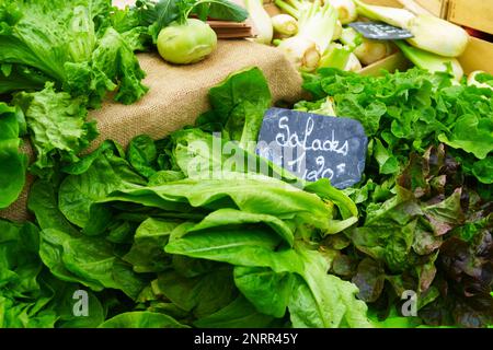 Varie insalate di lattuga fresca cruda e finocchio su tela di iuta nel mercato alimentare locale biologico. Pasti vegetariani. Concetto di cibo sano e stile di vita. D Foto Stock