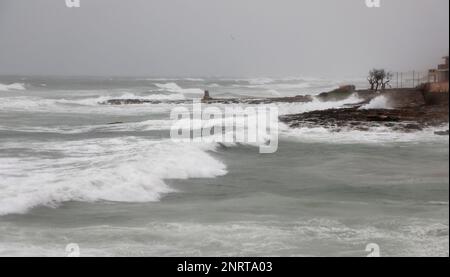 Santa Margalida, Spagna. 27th Feb, 2023. Le onde colpiscono la riva nel tempo tempestoso vicino a Can Picafort. Piogge con basse temperature sono previste per i prossimi giorni. Credit: Clara Margais/dpa/Alamy Live News Foto Stock