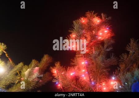 Luci soffuse multicolore di ghirlande su un vero albero di Natale con tinsel e palle sulla strada nella neve di notte. Bokeh. Foto Stock