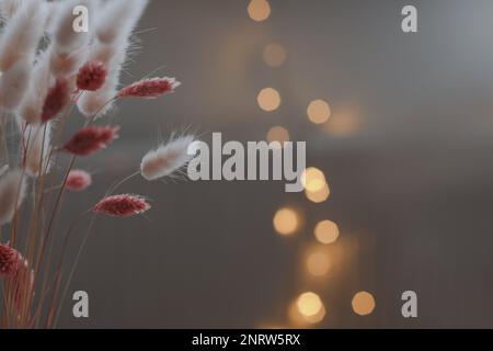 Bella composizione di fiori. Fiori secchi su sfondo pastello e agine sfocate con luci bokeh. Stile minimal floreale, minimalismo Foto Stock