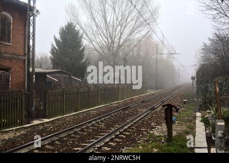 Ferrovia che passa in un parco in una giornata di nebbia Foto Stock