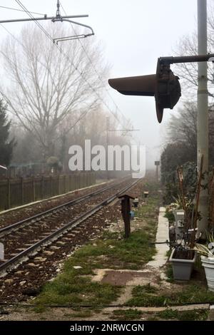 Ferrovia che passa in un parco in una giornata di nebbia Foto Stock