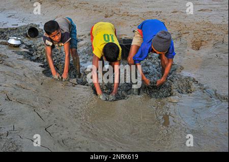 Non esclusiva: 27 febbraio 2023 a Sylhet-Bangladesh: I bambini rurali stanno raccogliendo pesci con le mani del fango. Mentre tutti gli abitanti del villaggio sono occupati Foto Stock
