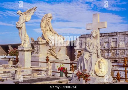 Reina cimitero,Cienfuegos, Cuba Foto Stock