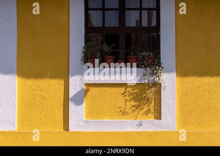 Panjim, Goa, India - Gennaio 2023: Facciata esterna di una vecchia casa portoghese di epoca con pareti gialle nella zona Fontainhas di Panaji. Foto Stock