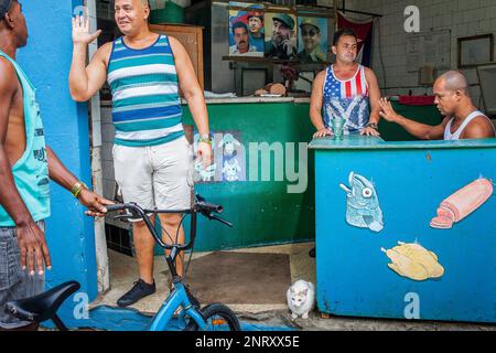 Negozio di alimentari,i prodotti forniti dallo Stato, a prezzi controllati,Centro Habana district, La Habana, Cuba Foto Stock