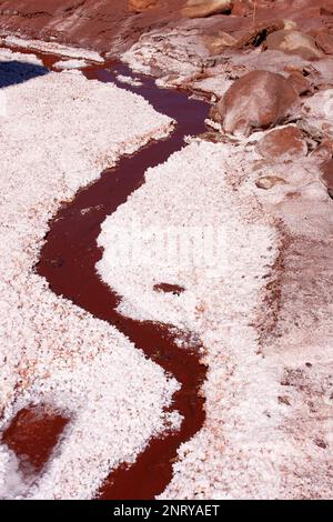 Cristalli di potassio e sale che si formano lungo il bordo di una foga minerale vicino a Moab, Utah. Foto Stock