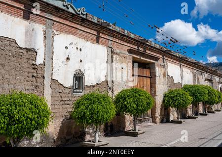 Il muro di adobe alle intemperie di una storica Hacienda coloniale spagnola a Santiago Matatlan, Central Valleys, Oaxaca, Messico. Foto Stock