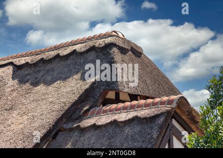 Primo piano sul bordo di un tetto di paglia. Foto Stock