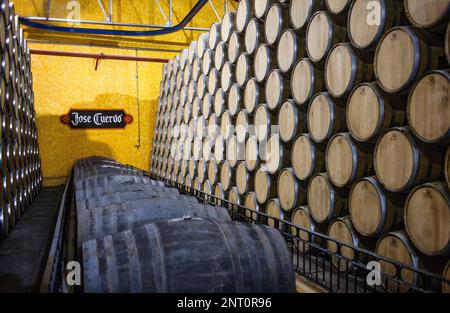 La maturazione di barili, Jose cuervo tequila distilleria nel villaggio di Tequila, Messico Foto Stock