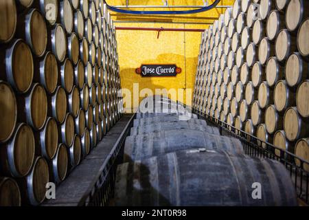 La maturazione di barili, Jose cuervo tequila distilleria nel villaggio di Tequila, Messico Foto Stock