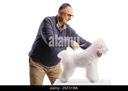 Uomo maturo governare un cane frise bichon isolato su sfondo bianco Foto Stock