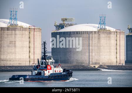 Cisterne terminali di importazione GNL per gas naturale liquido nel porto marittimo di Rotterdam, porto rimorchiatore, Maasvlakte, Rotterdam, Paesi Bassi, Foto Stock