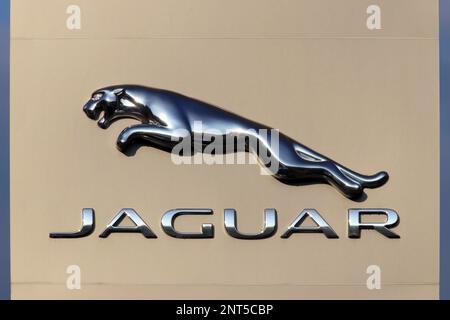 Italia, anno 2023, segno del marchio Jaguar presso un concessionario di automobili Foto Stock