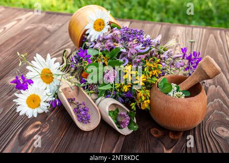 Erbe medicinali estive - erba di San Giovanni, camomilla, trifoglio vicino Malta di legno. Preparazione di medicinali da piante naturali da parte di erboristi Foto Stock