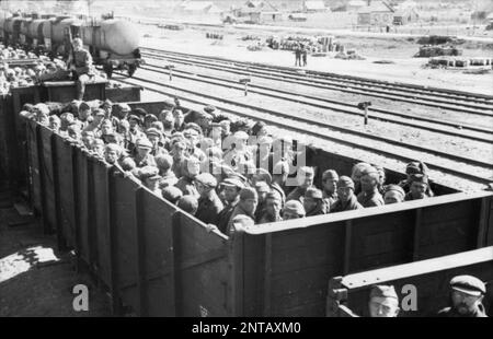 I POW sovietici trasportarono in vagone aperto durante la fase di apertura dell'operazione Barbarossa (settembre 1941). I nazisti hanno sistematicamente affamato e trascurato i prigionieri di guerra russi in quanto erano considerati sub-umani slavi. IT stima che tre milioni di prigionieri sovietici siano morti in cattività. Foto Bundesarchiv, Bild 101i-267-0124-20A / Vorpahl / CC-BY-SA 3,0, CC BY-SA 3,0 de, https://commons.wikimedia.org/w/index.php?curid=5476739 Foto Stock