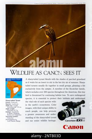 Video spot Canon EX1 8 mm in una rivista NatGeo, agosto 1993 Foto Stock