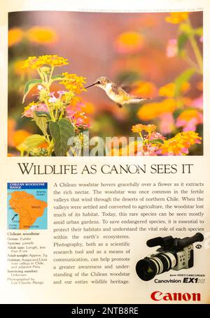 Video spot Canon da EX1 8 mm in una rivista NatGeo, dicembre 1992 Foto Stock