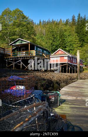 Telegraph Cove edifici storici dai moli. Il porticciolo di Telegraph Cove e le sistemazioni costruite su pilings che circondano questa posizione storica. Foto Stock