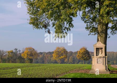 Wayside santuario: Battesimo di Cristo / Madonna in trono dal 1920, Ahaus-Wuellen, Muensterland Foto Stock