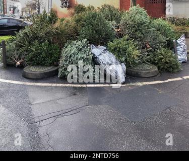 Alberi di natale scartati accatastati sul marciapiede della strada per la raccolta dei rifiuti in Germania Foto Stock