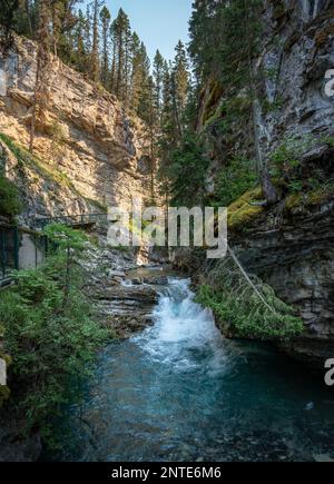 Johnston Canyon scenario in popolare sentiero turistico escursionistico nel Banff National Park. Foto Stock