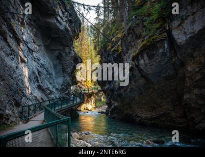 Johnston Canyon scenario in popolare sentiero turistico escursionistico nel Banff National Park. Foto Stock