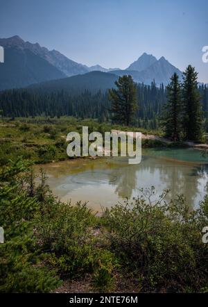 Il paesaggio delle pentole d'inchiostro nel parco nazionale di Banff in Alberta Canada. Foto Stock