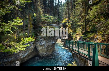 Johnston Canyon scenario in popolare sentiero turistico escursionistico nel Banff National Park. Foto Stock