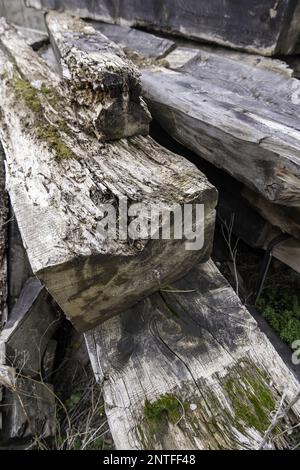 Particolare di legno vecchio per costruzione, rovina e disastro Foto Stock