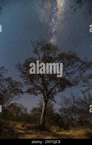 La via Lattea vista in una notte limpida nello Zimbabwe. Foto Stock