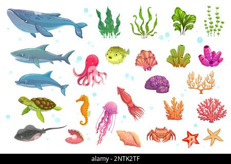 Cartoni animati, animali subacquei, alghe, pesci e coralli. Balene, squali, delfini e tartarughe, razze, polpi, pesce soffrigante e gelatina. Cavallo di mare, calamari, granchi e conchiglie con stelle marine oceaniche Illustrazione Vettoriale
