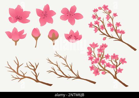 gradient sakura rami e fiori design collezione Illustrazione Vettoriale