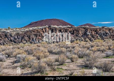 Strato di basalto, cono di cenere, cespugli di creosoto, Aikens Mine Road, Cinder Cones Lava Beds, deserto di Mojave, riserva nazionale di Mojave, California, USA Foto Stock