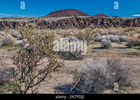 Strato di basalto, cono di cenere, cespugli di creosoto, cholla di matita, strada di miniera di Aikens, Cinder Cones Lava Beds, Mojave National Preserve, California, USA Foto Stock