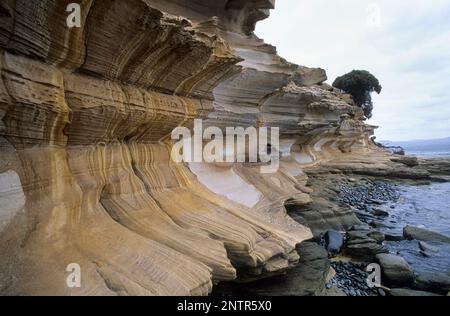 Australia, Tasmania, Maria Island, le scogliere dipinte. Foto Stock