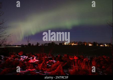 Hagebyhöga, Svezia. 27th, febbraio 2023. Tempo stagionale, aurora boreale durante la notte verso il martedì nella contea di Östergötland, Svezia. Nella foto: La chiesa di Hagebyhöga, appena fuori dalla città di Vadstena, Svezia. Un'aurora (aurora o aurora), nota anche come le luci polari, è un'esposizione di luce naturale nel cielo della Terra, vista prevalentemente nelle regioni ad alta latitudine. Credit: Jeppe Gustafsson/Alamy Live News Foto Stock