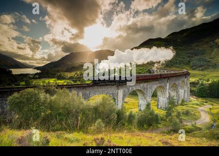 Treno a vapore Jacobite passando sopra il Viadotto Glenfinnan reso famoso dai film di Harry Potter. Situato nella valle con le montagne in Scozia Foto Stock