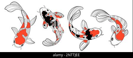 Koi FISH disegno a colori con simboli di bellezza piatto isolato vettore illustrazione Illustrazione Vettoriale