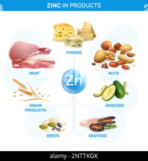 Infografica Zink con diagramma di flusso di immagini realistiche isolate con semi di grano pesce formaggio carne e noci illustrazione vettoriale Illustrazione Vettoriale