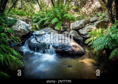 Cascate di fiume miele al Parco Naturale Strait, provincia di Cadice, Andalusia, Spagna Foto Stock