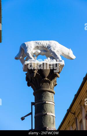 Siena, Toscana, Italia: La She-Wolf senese situata in Via Pantaneto in una giornata di sole Foto Stock