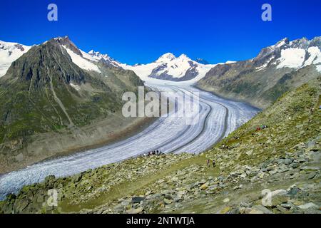 Vista panoramica sul ghiacciaio Aletschgletscher, Alpi svizzere, Europa Foto Stock